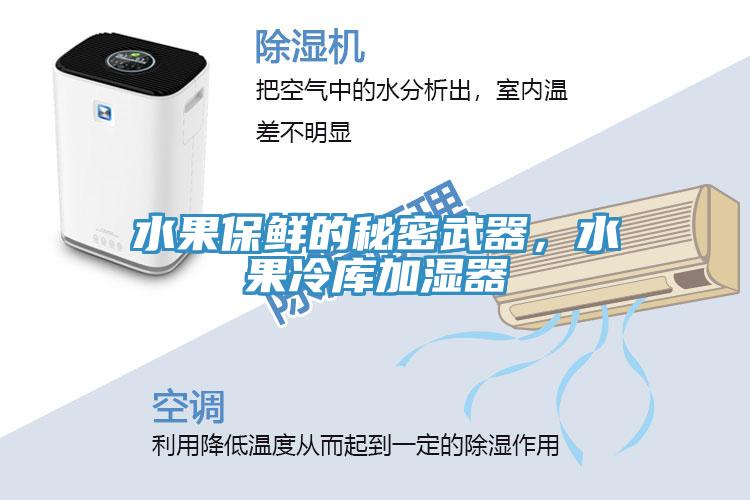 水果保鲜的秘密武器，水果冷库加湿器