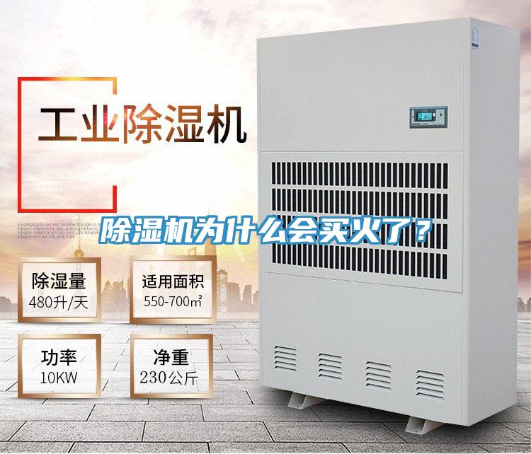 辣椒视频APP下载并安装为什么会买火了？
