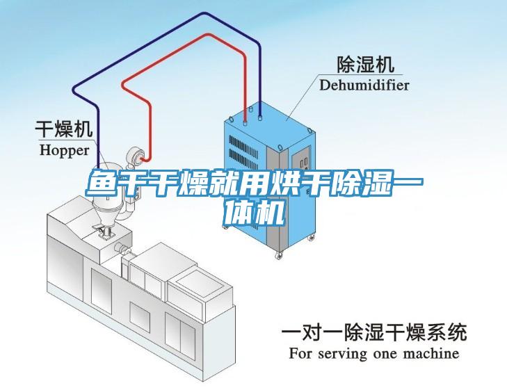 鱼干干燥就用烘干除湿一体机