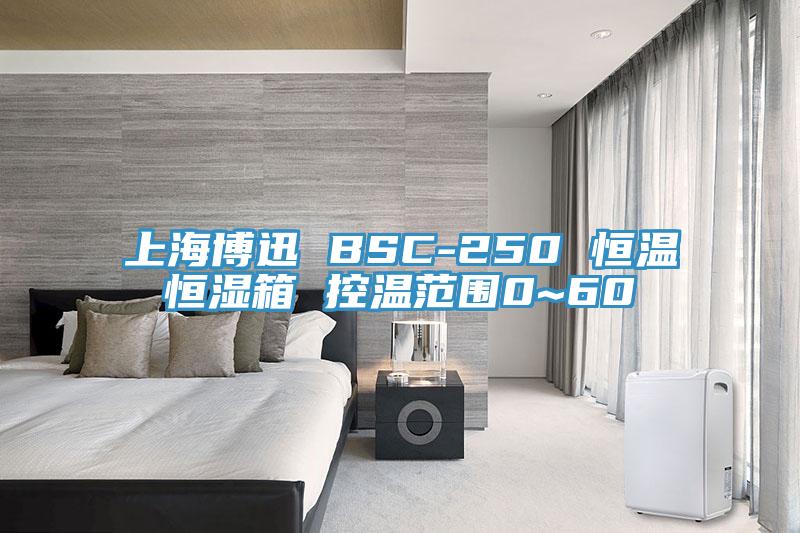 上海博迅 BSC-250 恒温恒湿箱 控温范围0~60℃