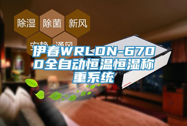 伊春WRLDN-6700全自动恒温恒湿称重系统