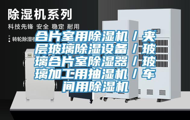 合片室用辣椒视频APP下载并安装／夹层玻璃除湿设备／玻璃合片室除湿器／玻璃加工用抽湿机／车间用辣椒视频APP下载并安装