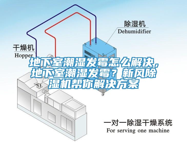 地下室潮湿发霉怎么解决，地下室潮湿发霉？新风辣椒视频APP下载并安装帮你解决方案