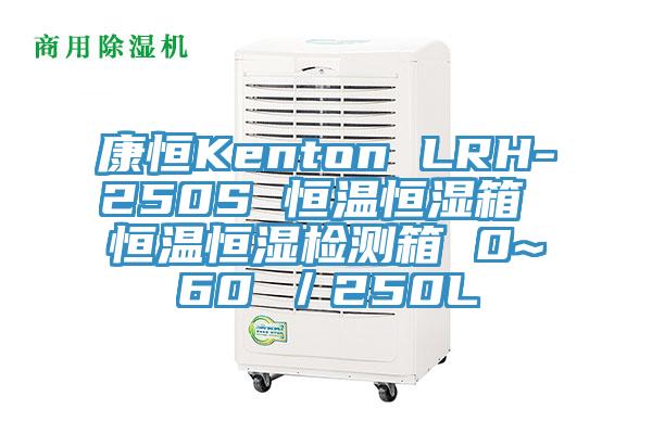 康恒Kenton LRH-250S 恒温恒湿箱 恒温恒湿检测箱 0~60℃／250L