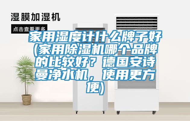 家用湿度计什么牌子好(家用辣椒视频APP下载并安装哪个品牌的比较好？德国辣椒视频软件净水机，使用更方便)