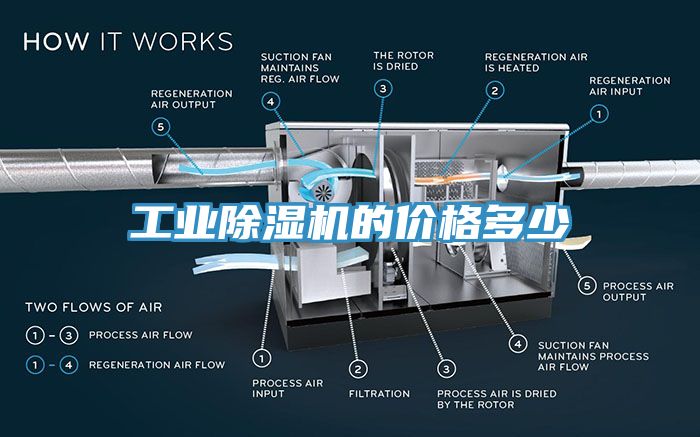 工业辣椒视频APP下载并安装的价格多少