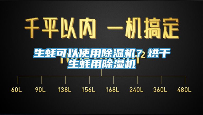 生蚝可以使用辣椒视频APP下载并安装？烘干生蚝用辣椒视频APP下载并安装