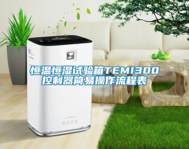 恒温恒湿试验箱TEMI300控制器简易操作流程表