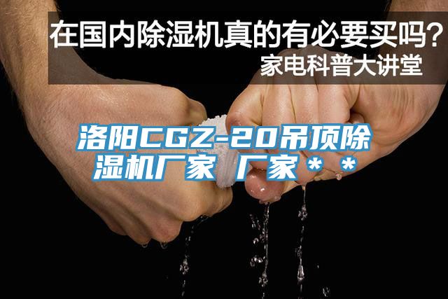 洛阳CGZ-20吊顶辣椒视频APP下载并安装厂家 厂家＊＊