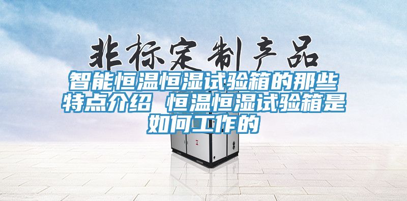 智能恒温恒湿试验箱的那些特点介绍 恒温恒湿试验箱是如何工作的