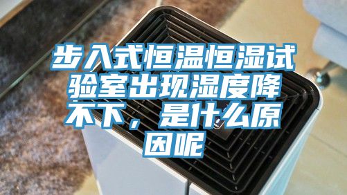 步入式恒温恒湿试验室出现湿度降不下，是什么原因呢