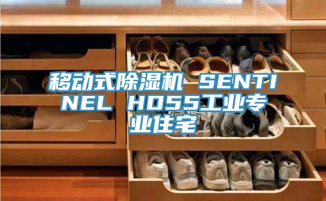 移动式辣椒视频APP下载并安装 SENTINEL HD55工业专业住宅