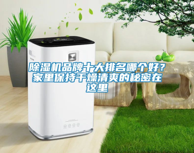 辣椒视频APP下载并安装品牌十大排名哪个好？家里保持干燥清爽的秘密在这里