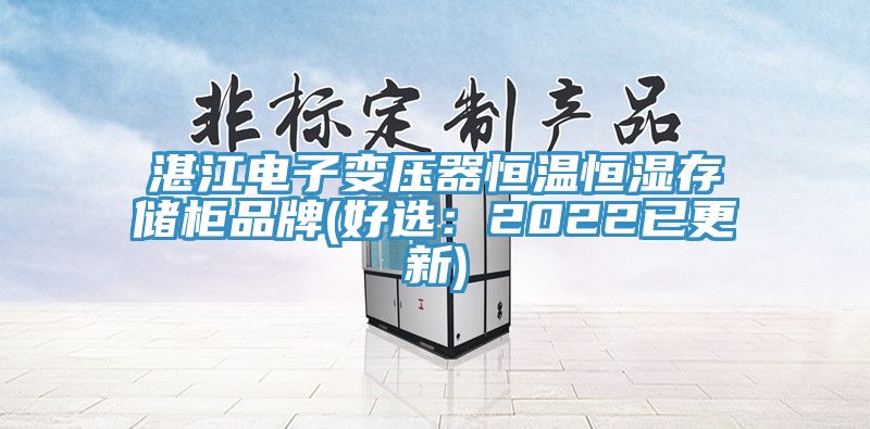 湛江电子变压器恒温恒湿存储柜品牌(好选：2022已更新)