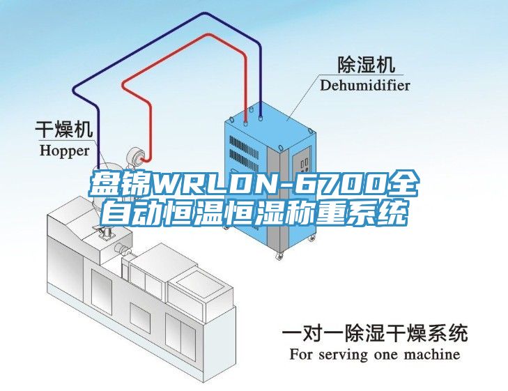 盘锦WRLDN-6700全自动恒温恒湿称重系统