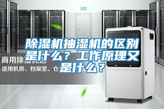 辣椒视频APP下载并安装抽湿机的区别是什么？工作原理又是什么？